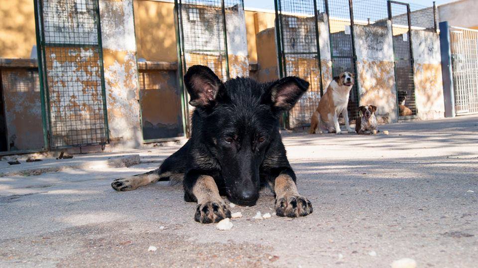 11666040_1086390284718084_3647678766348193116_n