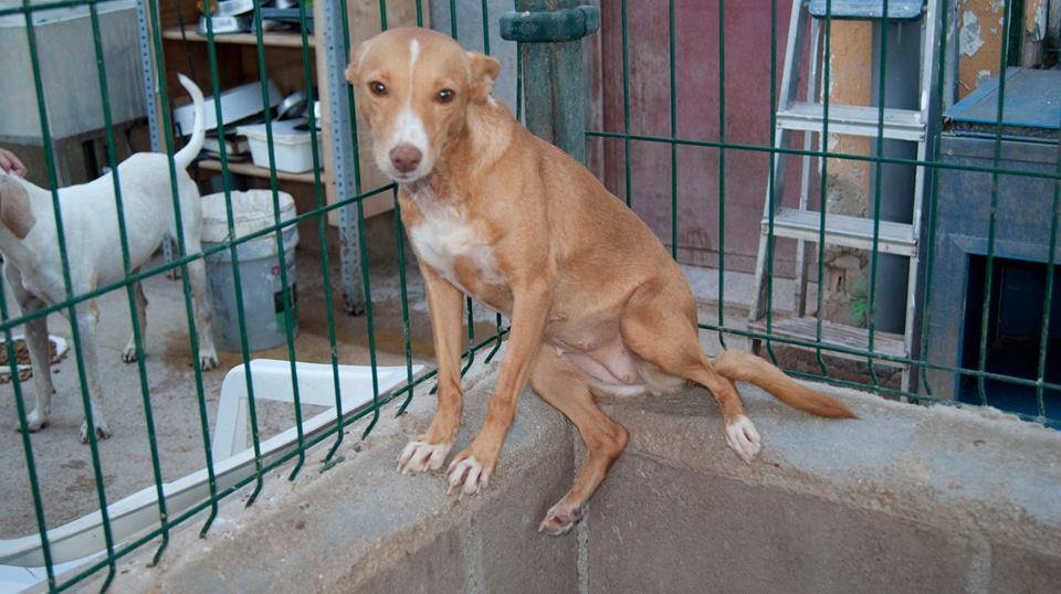 11694155_1061775003846279_446372829376401322_n