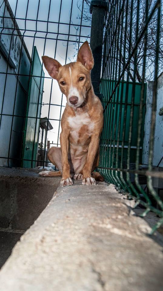 11918942_1061775000512946_341982743690324945_n