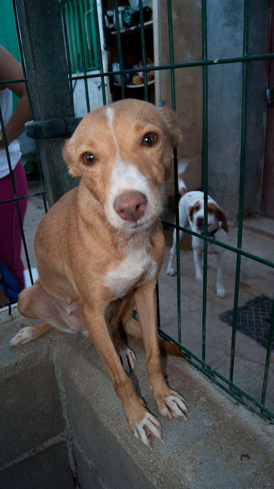 11949337_1061775007179612_5782272649770703383_n