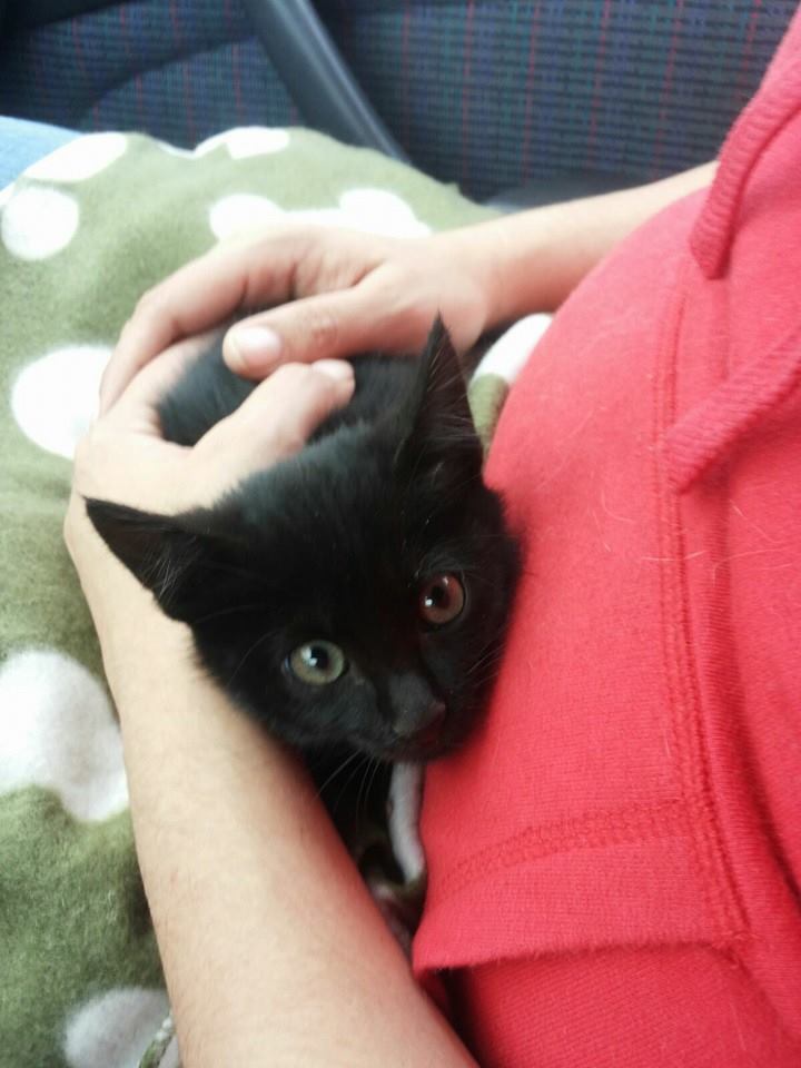 12036938_1086620981361681_4257869584029848428_n