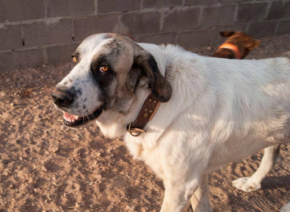 12046805_1087722594584853_8165311006900526766_n