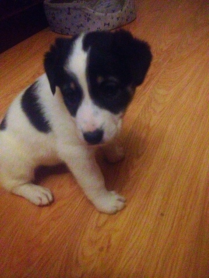 12047164_1088554311168348_903818133353694546_n