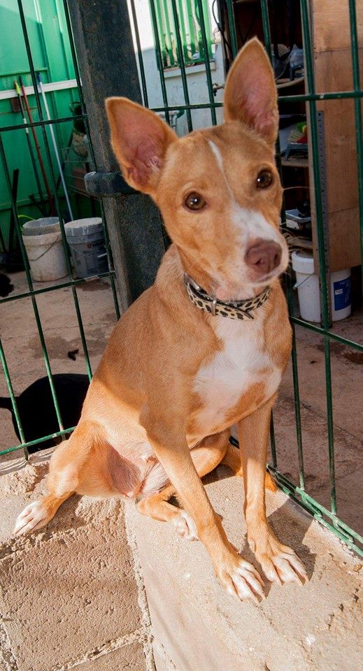 12063392_1076492039041242_2830555580571425158_n