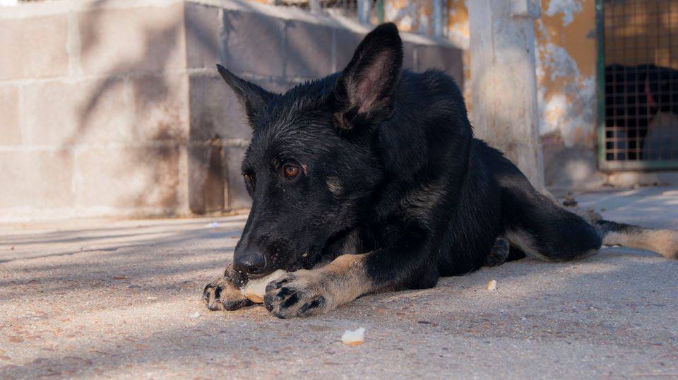 12063567_1086390281384751_4372275614557100559_n