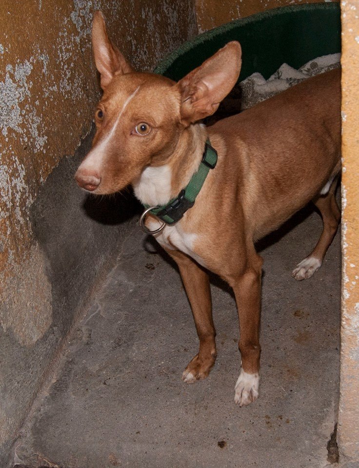 12075074_1078157678874678_8308787553968880770_n