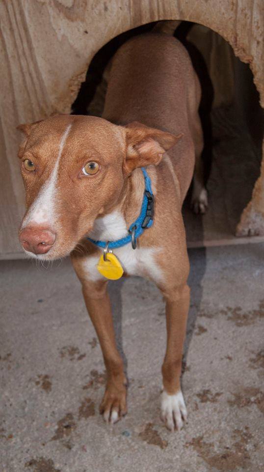 12079450_1078157718874674_4104784598177109895_n