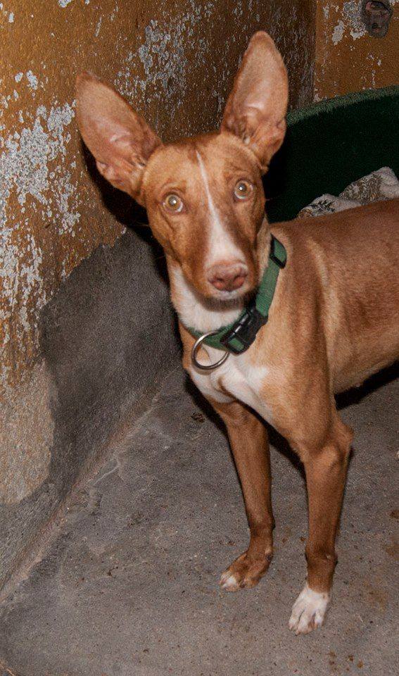 12088489_1078157675541345_690653452541635931_n