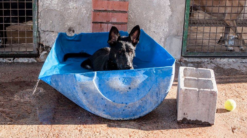 12105804_1086390288051417_7142280688151846506_n