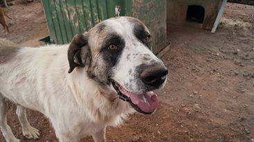 12107063_1087722557918190_7824920176702300120_n