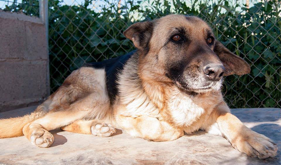 12107259_1078792968811149_8512263424630738577_n