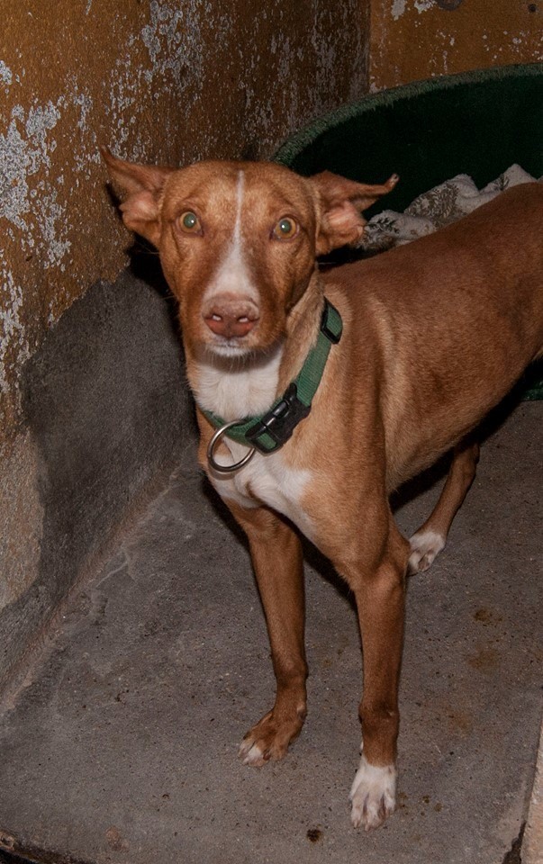 12108989_1078157778874668_1848352090154082320_n