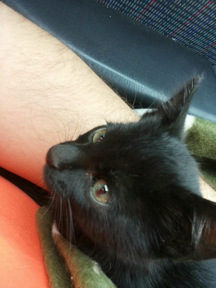 12112048_1086620924695020_398946623904370377_n