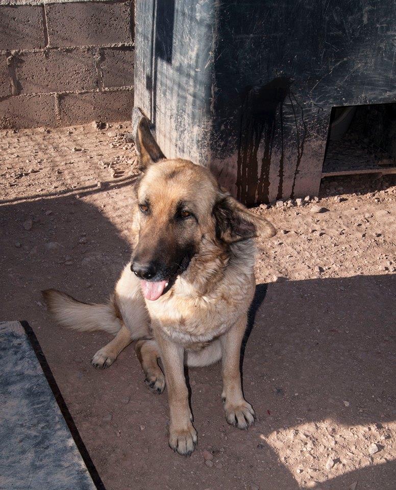 12112209_1078793002144479_5514312895356987501_n