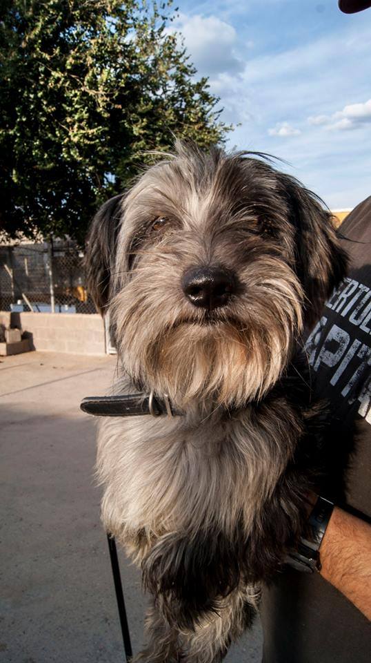 12122882_1087749367915509_5437691694178943998_n