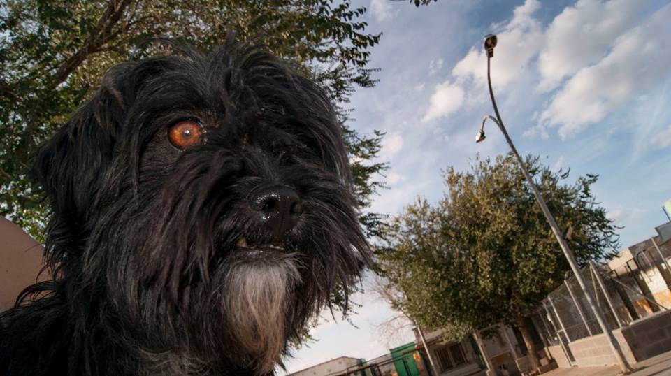 12143170_1085882324768880_959122411714731692_n