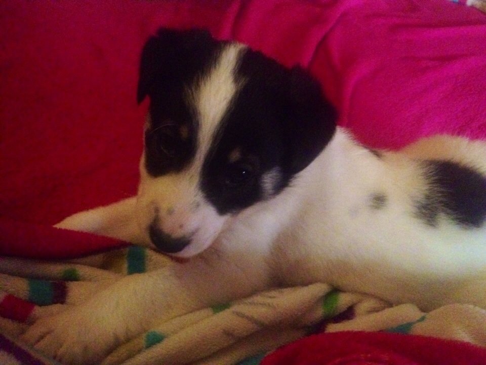 12143334_1088554377835008_7187307884995852745_n