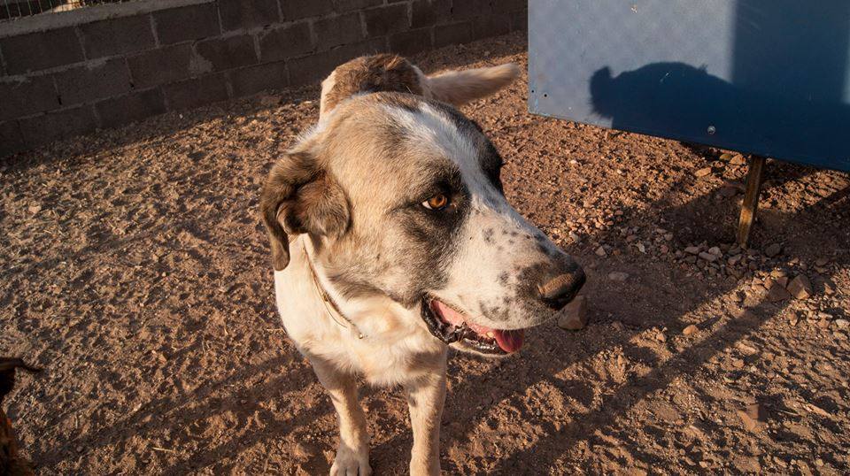 12144884_1087722571251522_1549503539797872539_n