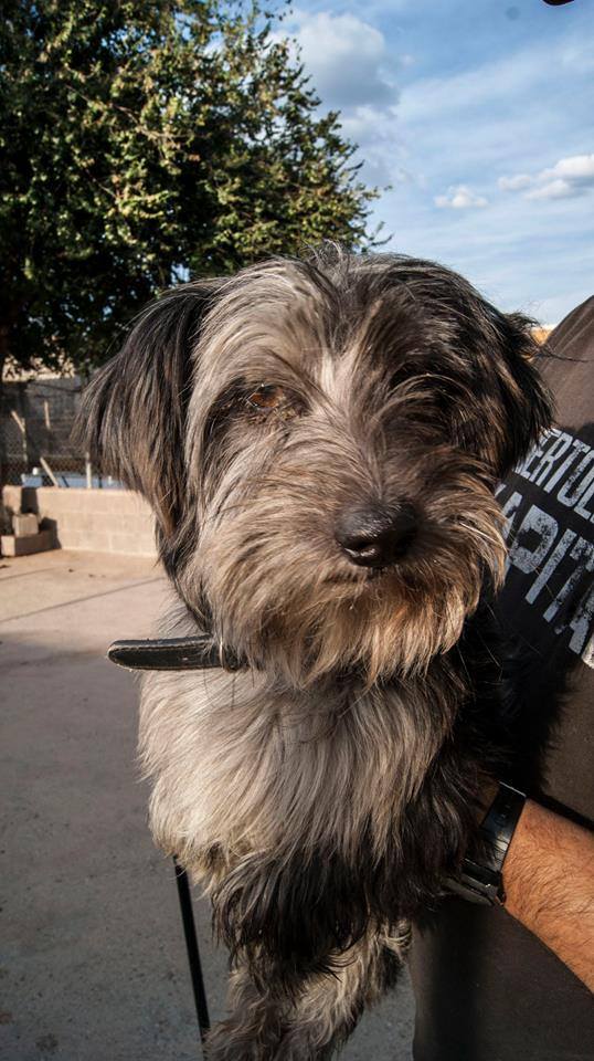 12187724_1087749371248842_3823517517365567471_n