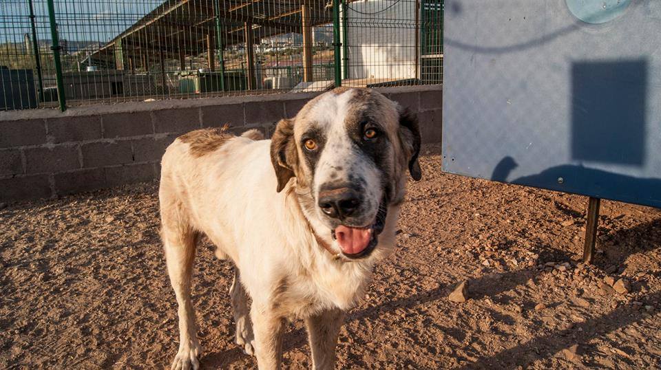 12189979_1087722564584856_4404297261645562757_n