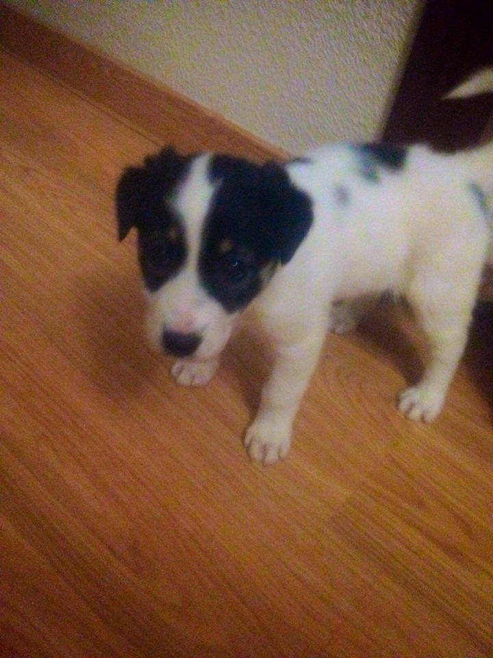 12193364_1088554171168362_3807462268647391530_n