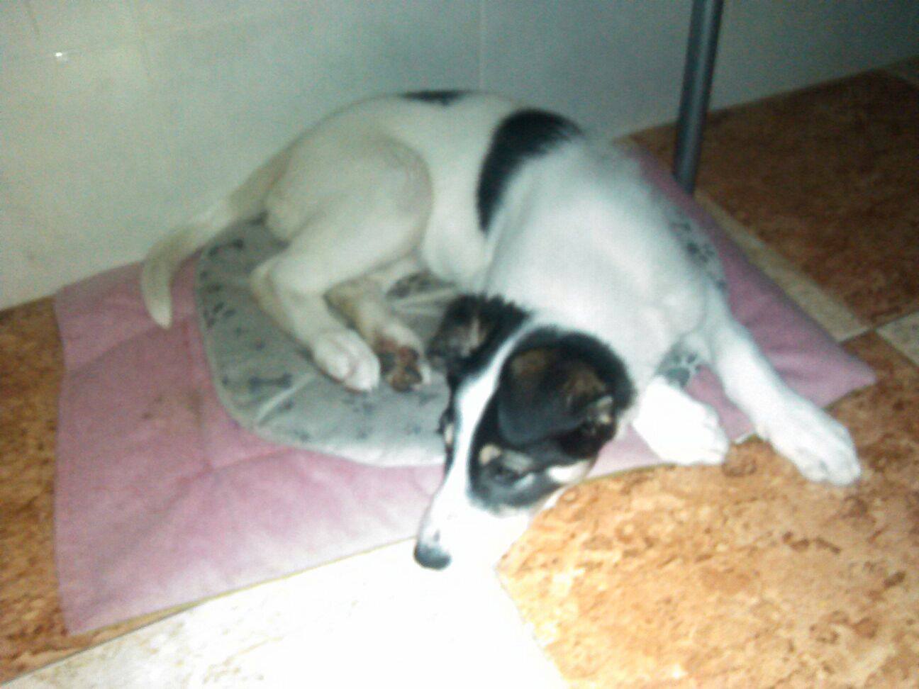 12322869_1108173679206411_6878147657649377473_o