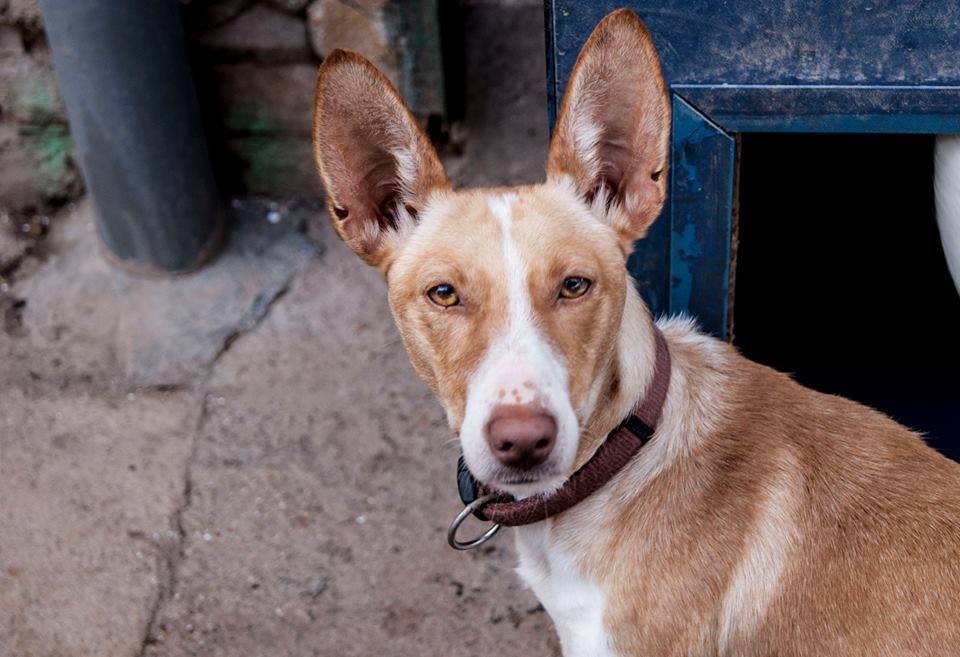 12509026_1124640957559683_4571773610015717615_n