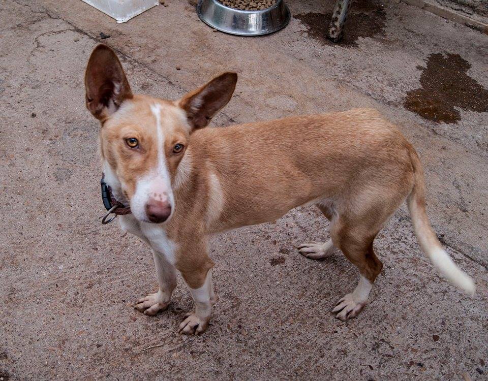 12523014_1124640954226350_2763690488032340269_n