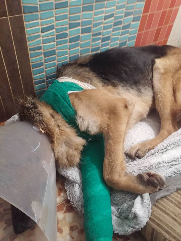 15894943_1431512500205859_5719329214681948061_n