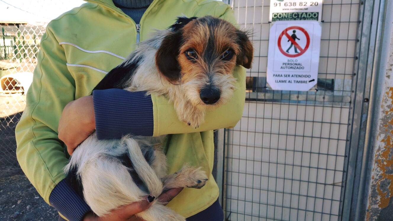 12241072_1102288083128304_2949158466914654049_o