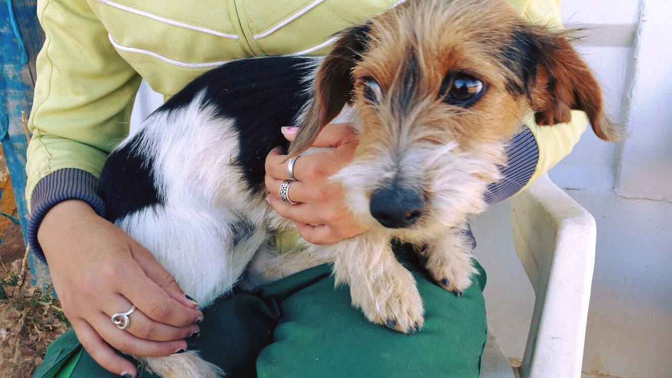 12291020_1102287986461647_1070840678293504168_o