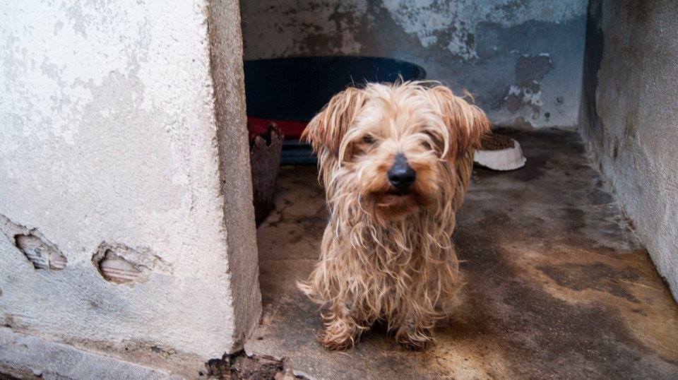 11036454_1108789375811508_4424243878424154599_n