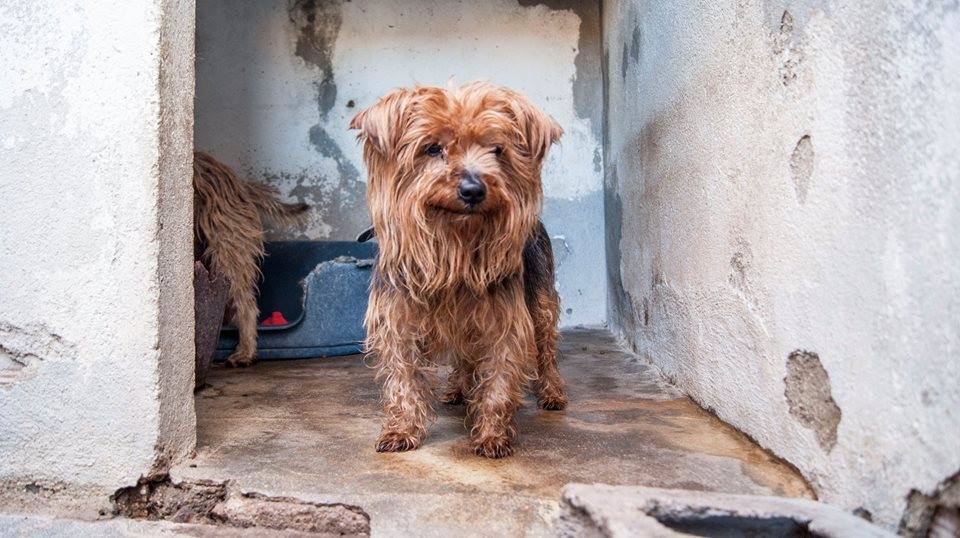 12279041_1108790952478017_4894010596156320100_n