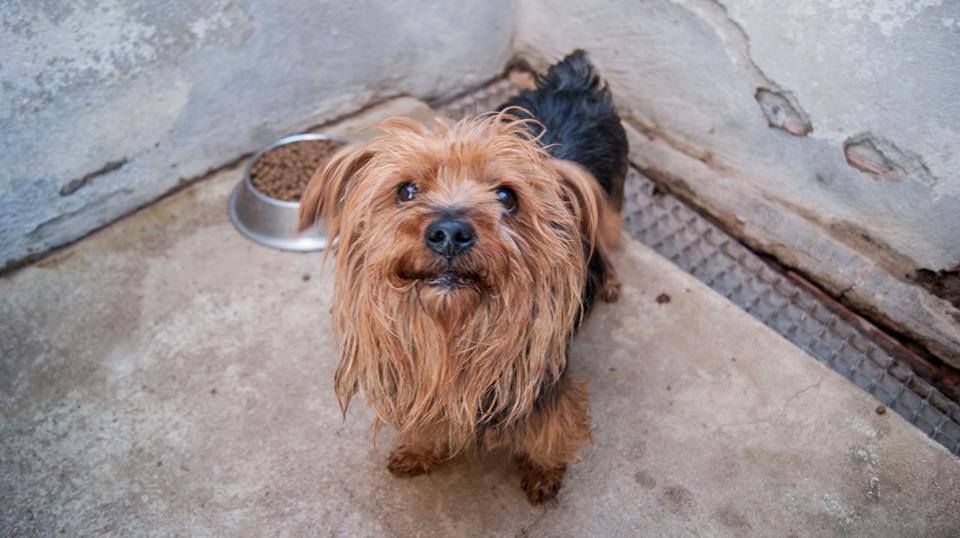 12313829_1108790919144687_7955225297082422562_n