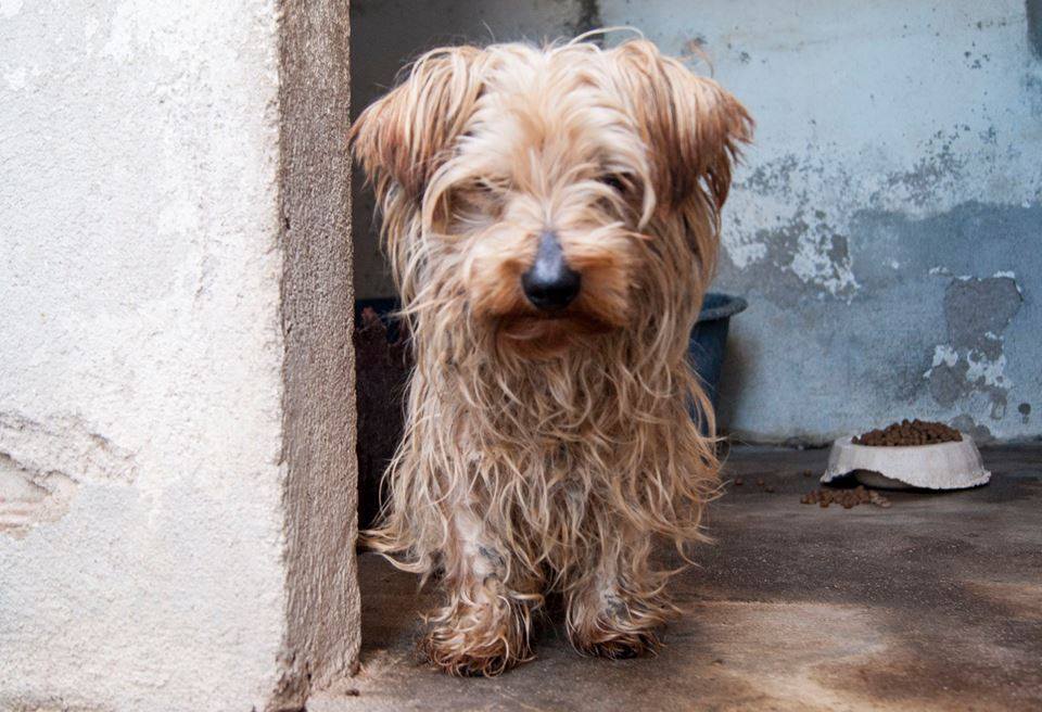 12314055_1108789379144841_9073140515128355284_n