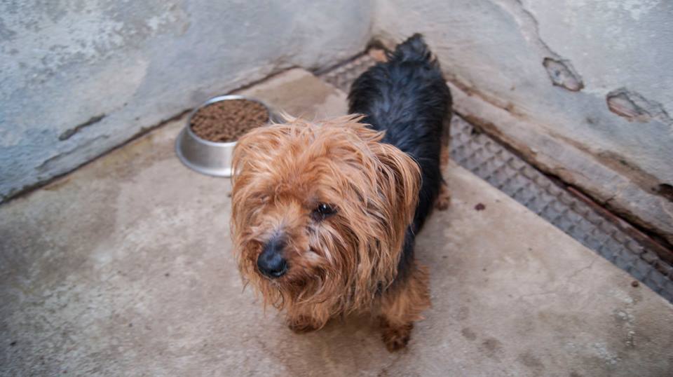 12345506_1108790912478021_6558002242272159674_n