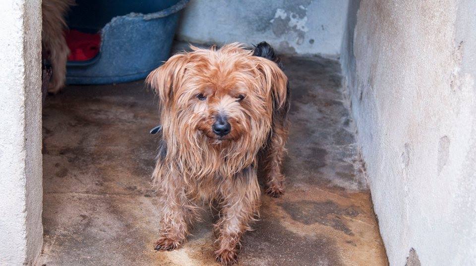 12360183_1108790915811354_4911105045819943690_n