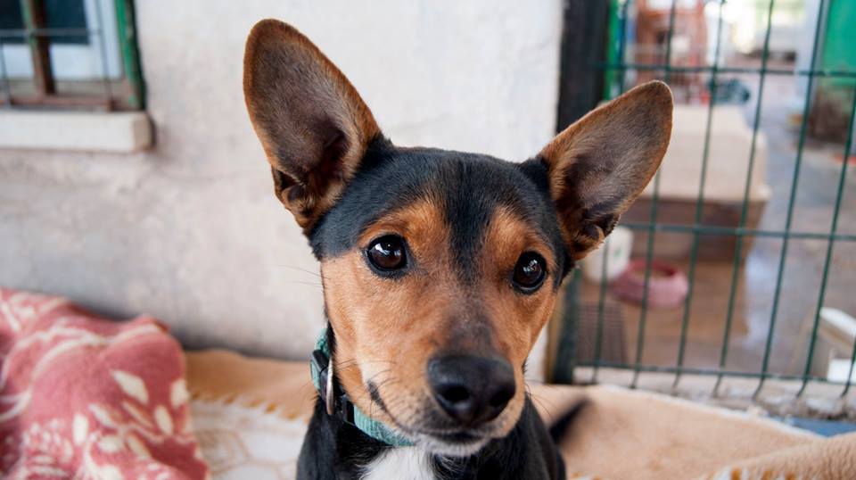 12646991_1135804813109964_638604016942449932_n