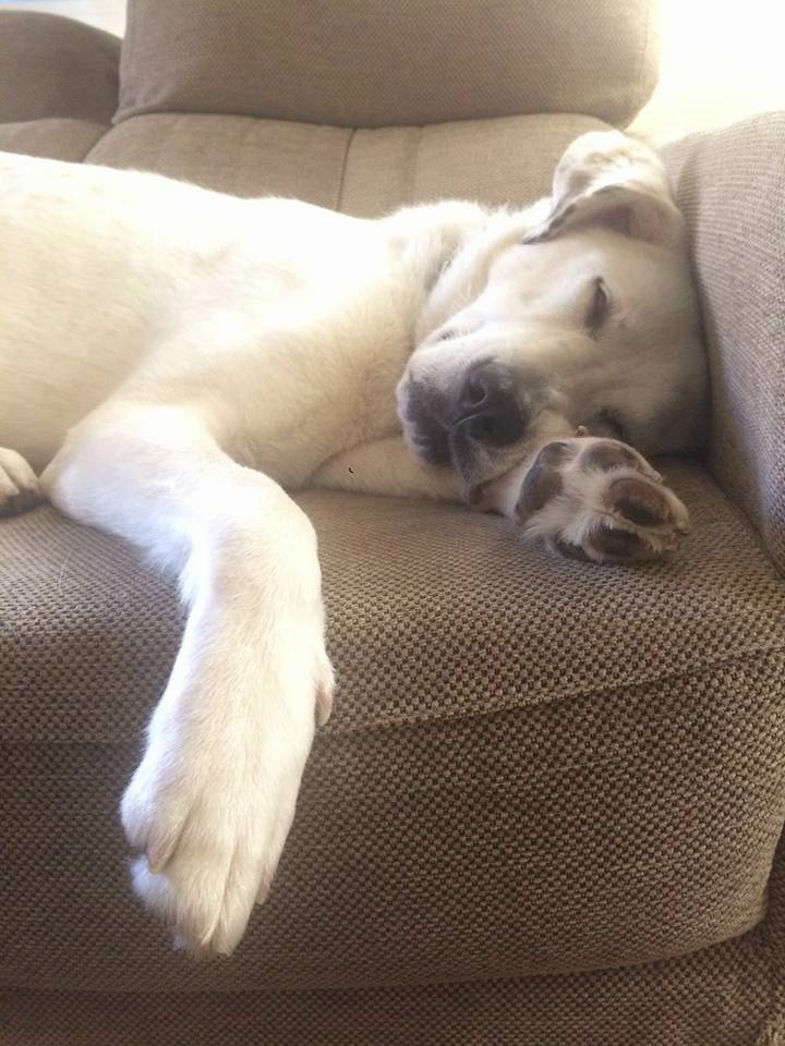 10378_1170820882941690_3303321799221218129_n