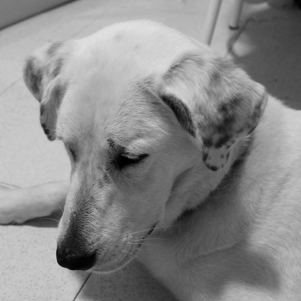 10409120_1170820839608361_8592763470151383262_n