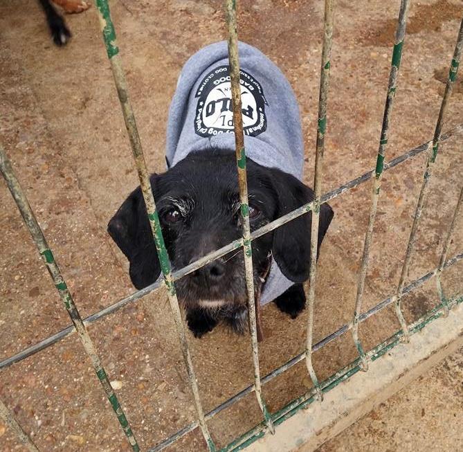 11217558_1182661205090991_7096220329072331226_n