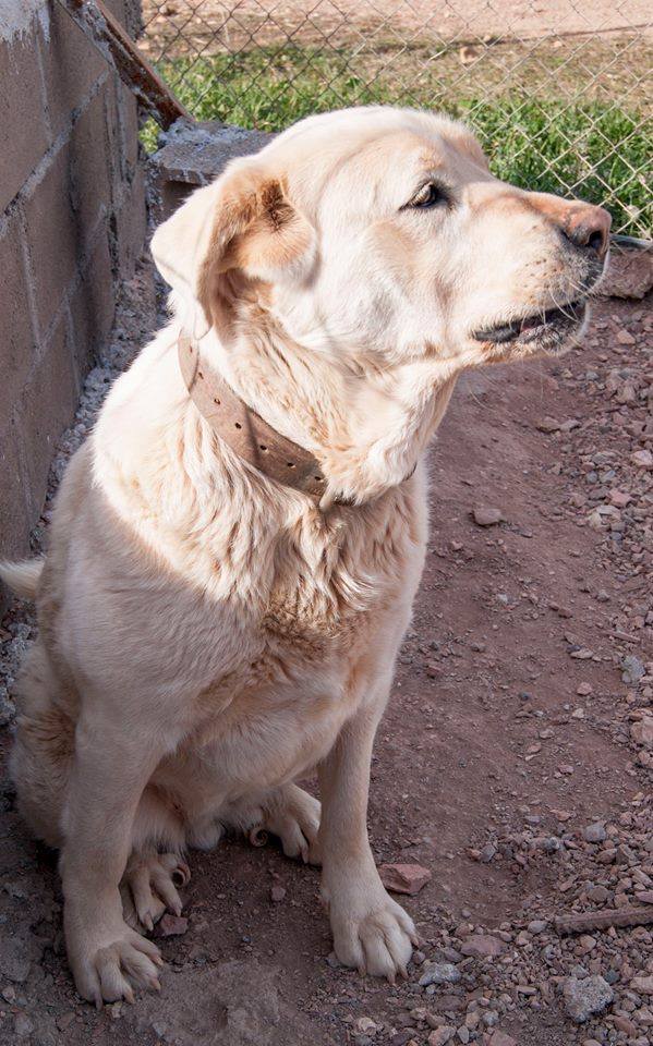 11428010_10206139043691627_3332568917174238116_n