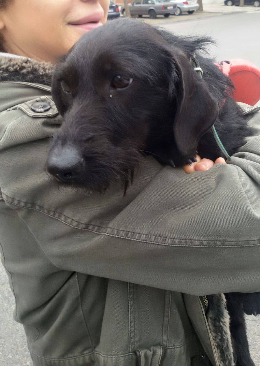 12697481_1140675819289530_8886686668642865717_o