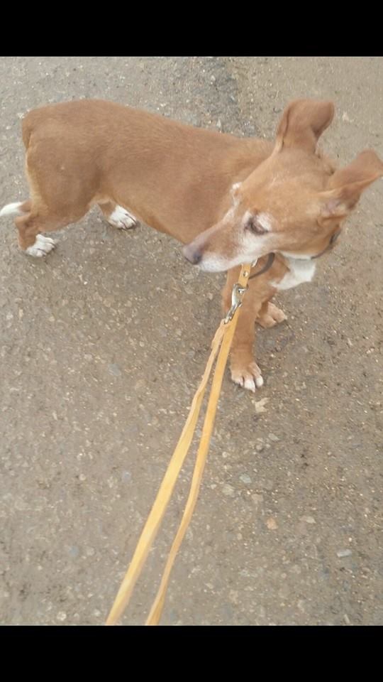 12733515_1146357958721316_8321303159363871403_n