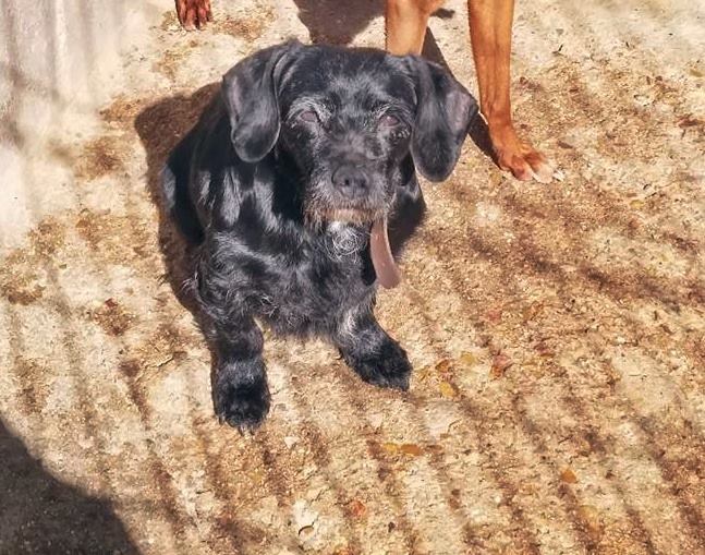 12931160_1182661198424325_149634059896304509_n