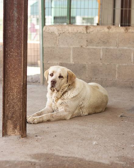 21762192_1702150586475381_3491457148987210988_n