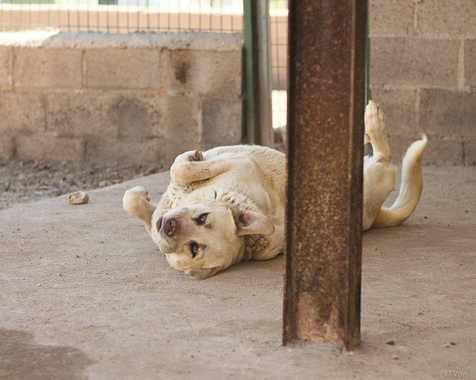 21764754_1702150569808716_522286251522552728_n