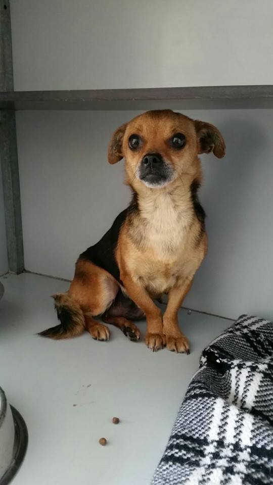 10338768_1165450573478721_488277302541722652_n