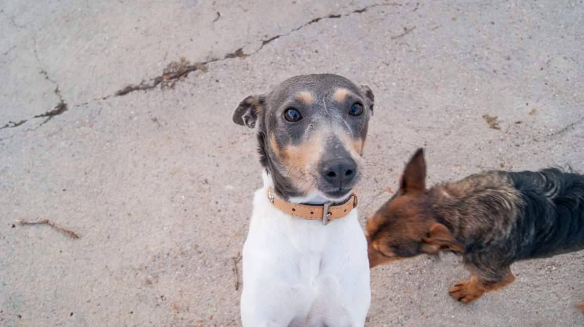 12440590_1179299022093876_376922761348024361_o