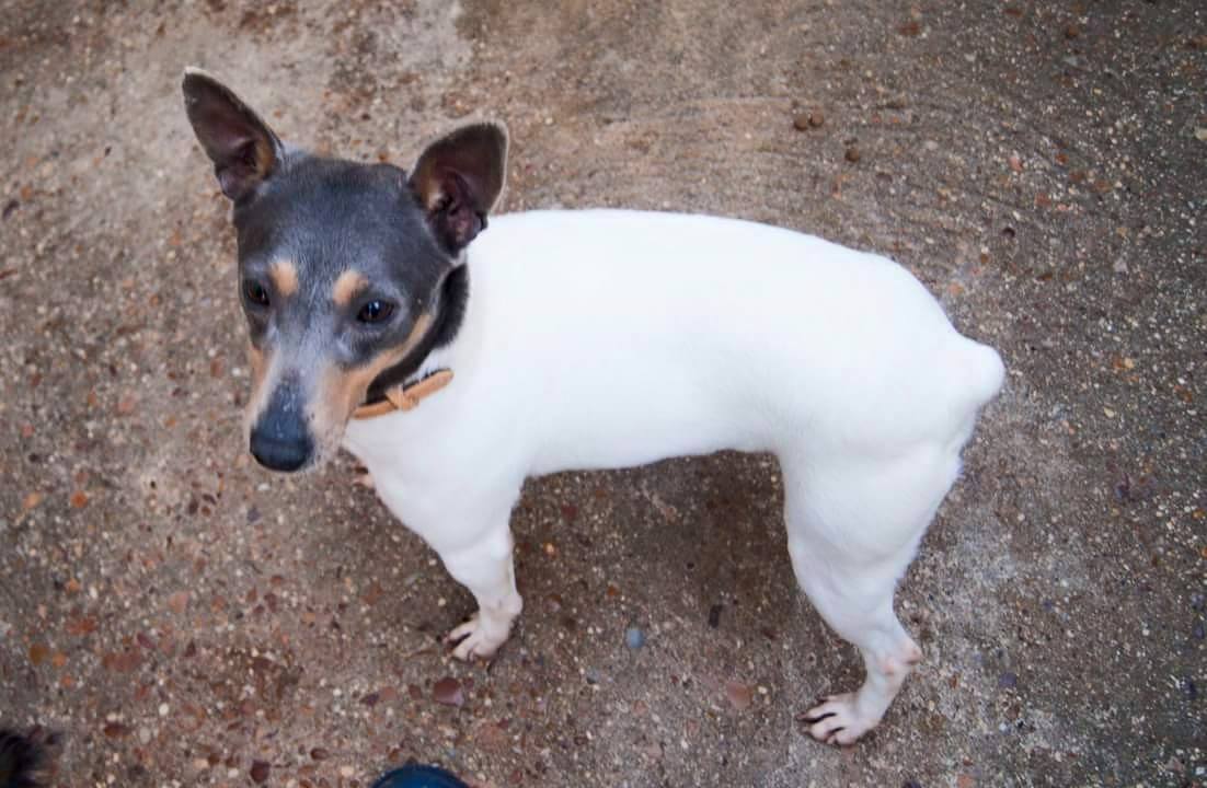 12898280_1179298985427213_8335239299550009395_o